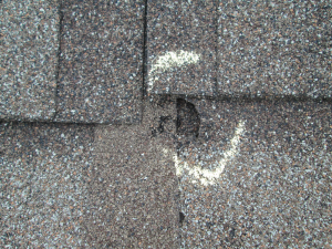 Hail damage to a roof, with dented and cracked shingles. Time to call your local roofer in Rockdale!