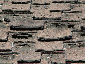 Close-up of shingle damage, a common sign you need roofing service in Milano.