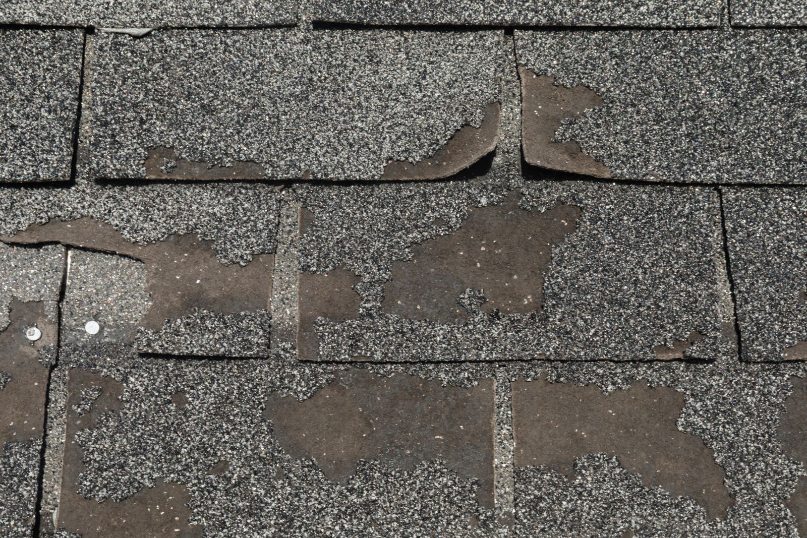 Done Right Roofing Images