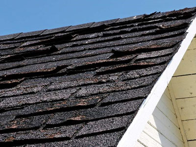 Done Right Roofing Images