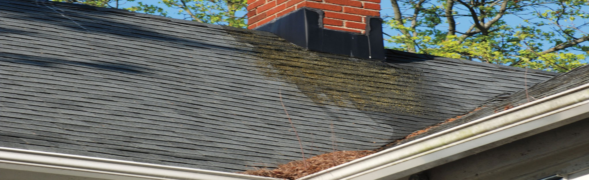 Done Right Roofing Images